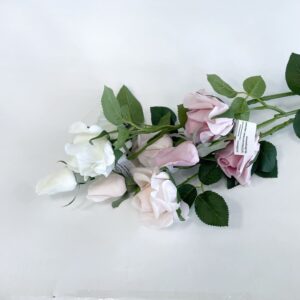 Роза кустовая, крупная