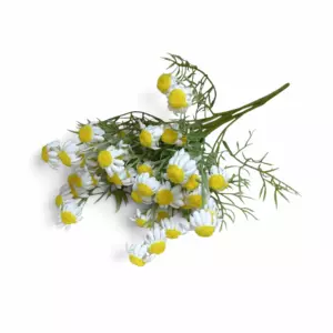 Ромашка (Шелк) 50см
