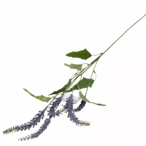 Шалфей (Шелк) 65см