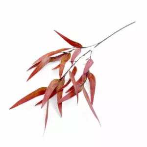 Эвкалипт красный (Силикон) 80см